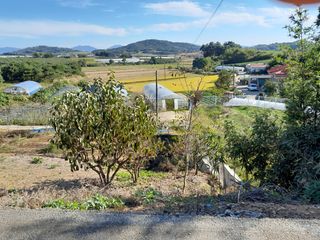 김영례님의 우리동네 가을단풍 자랑하기 · 참여글 작성글 사진