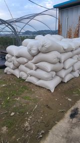 팜모닝 블루베리·영농일지 게시글 이미지