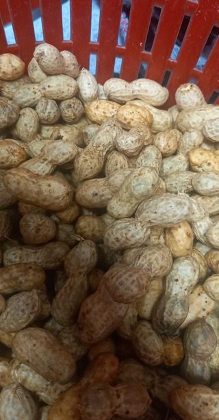 장만월님의 자유주제 · 자유게시판 작성글 사진