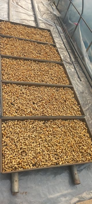 장만월님의 자유주제 · 자유게시판 작성글 사진