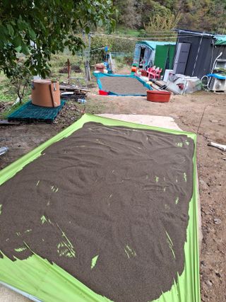 000님의 들깨 · 영농일지 작성글 사진