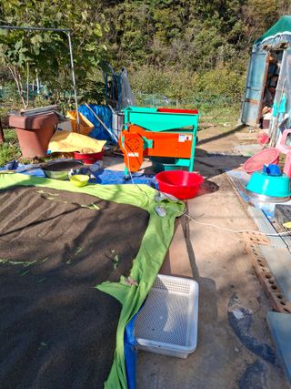 000님의 들깨 · 영농일지 작성글 사진