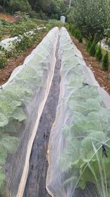 팜모닝 자유주제·자유게시판 게시글 이미지