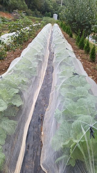 은태농님의 자유주제 · 자유게시판 작성글 사진