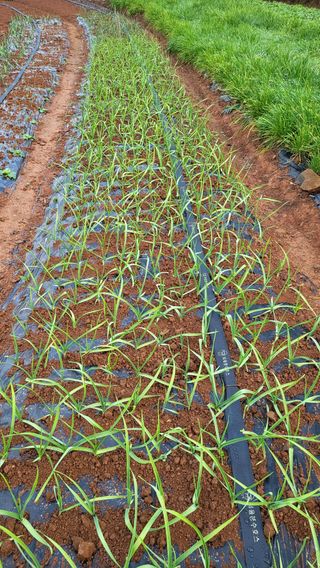 은태농님의 자유주제 · 자유게시판 작성글 사진