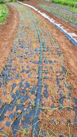 은태농님의 자유주제 · 자유게시판 작성글 사진