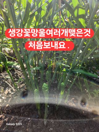 송명석님의 자유주제 · 자유게시판 작성글 사진