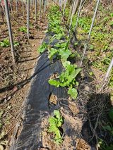 강류담15632님의 작성글 사진