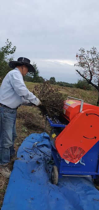 최종호님의 들깨 · 영농일지 작성글 사진