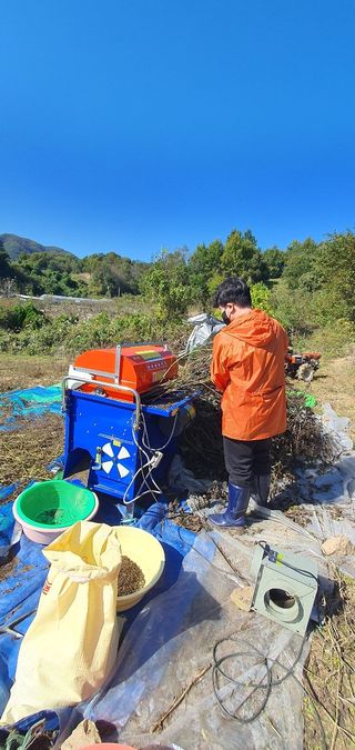 최종호님의 들깨 · 영농일지 작성글 사진