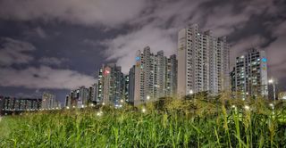 연모 자연의행복님의 우리동네 가을단풍 자랑하기 · 참여글 작성글 사진