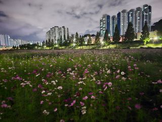 연모 자연의행복님의 우리동네 가을단풍 자랑하기 · 참여글 작성글 사진