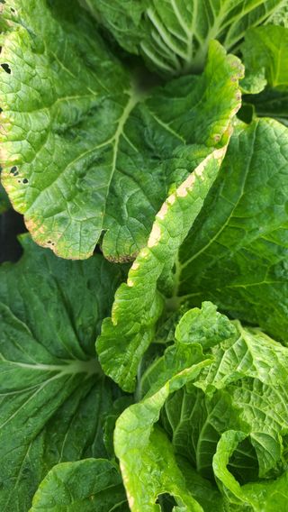 포도14685님의 자유주제 · 자유게시판 작성글 사진