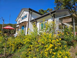 김방식님의 우리동네 가을단풍 자랑하기 · 참여글 작성글 사진