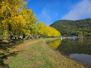 김방식님의 우리동네 가을단풍 자랑하기 · 참여글 작성글 사진