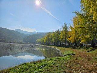 김방식님의 우리동네 가을단풍 자랑하기 · 참여글 작성글 사진