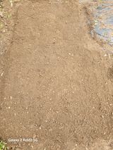 팜모닝 마늘·영농일지 게시글 이미지