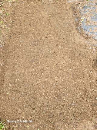 최덕병님의 마늘 · 영농일지 작성글 사진