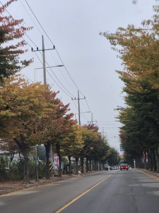 봉우재농부님의 우리동네 가을단풍 자랑하기 · 참여글 작성글 사진