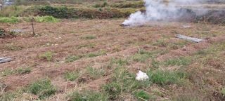 남기하님의 고구마 · 영농일지 작성글 사진