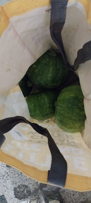 남기하님의 고구마 · 영농일지 작성글 사진