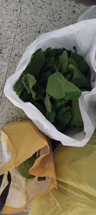 남기하님의 고구마 · 영농일지 작성글 사진