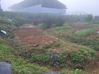 이연종님의 마늘 · 영농일지 작성글 사진