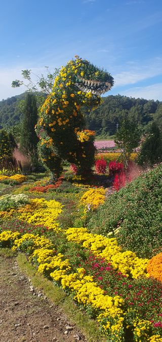 한밭농원님의 우리동네 가을단풍 자랑하기 · 참여글 작성글 사진