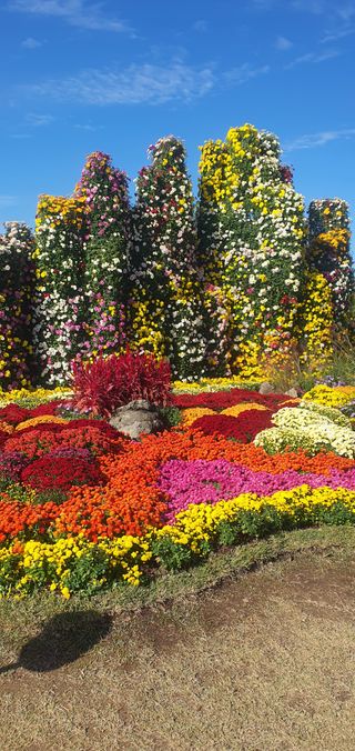 한밭농원님의 우리동네 가을단풍 자랑하기 · 참여글 작성글 사진