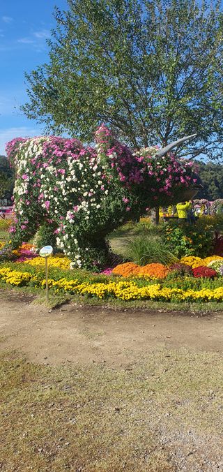 한밭농원님의 우리동네 가을단풍 자랑하기 · 참여글 작성글 사진