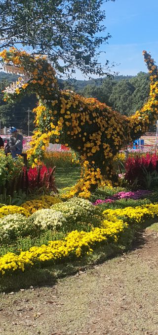 한밭농원님의 우리동네 가을단풍 자랑하기 · 참여글 작성글 사진