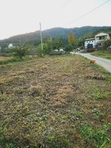 팜모닝 콩·영농일지 게시글 이미지