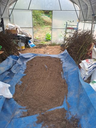 최가박당농부님의 들깨 · 영농일지 작성글 사진