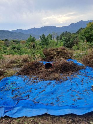 최가박당농부님의 들깨 · 영농일지 작성글 사진