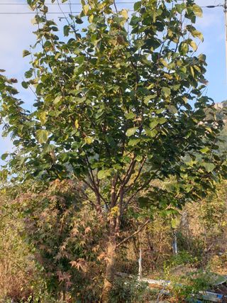 허굴산농장님의 자유주제 · 자유게시판 작성글 사진