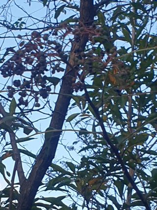 허굴산농장님의 자유주제 · 자유게시판 작성글 사진