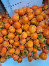 팜모닝 자유주제·자유게시판 게시글 이미지