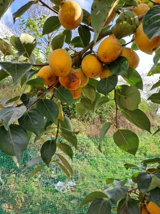 김성년님의 자유주제 · 자유게시판 작성글 사진