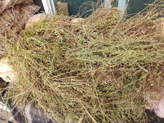 이현상님의 자유주제 · 자유게시판 작성글 사진