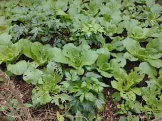 이현상님의 자유주제 · 자유게시판 작성글 사진