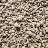 팜모닝 · 게시글 이미지