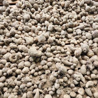 박동현님의 작성글 사진