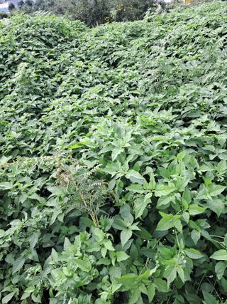 이경숙님의 자유주제 · 자유게시판 작성글 사진