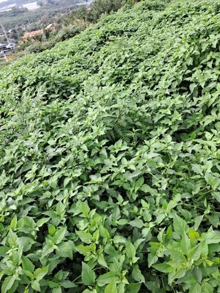 이경숙님의 자유주제 · 자유게시판 작성글 사진