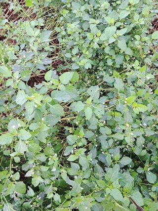 이경숙님의 자유주제 · 자유게시판 작성글 사진