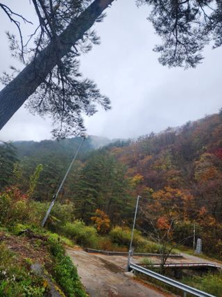 손을선님의 우리동네 가을단풍 자랑하기 · 참여글 작성글 사진