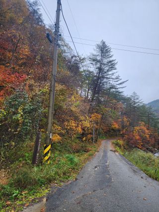 손을선님의 우리동네 가을단풍 자랑하기 · 참여글 작성글 사진