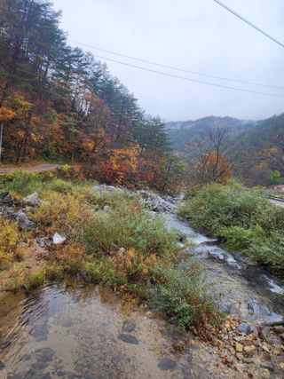 손을선님의 우리동네 가을단풍 자랑하기 · 참여글 작성글 사진