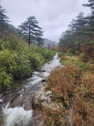 손을선님의 우리동네 가을단풍 자랑하기 · 참여글 작성글 사진