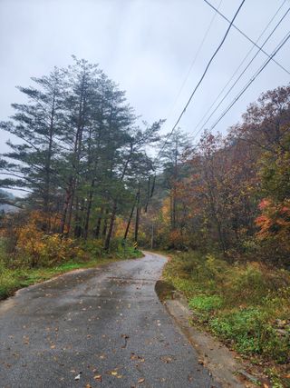 손을선님의 우리동네 가을단풍 자랑하기 · 참여글 작성글 사진
